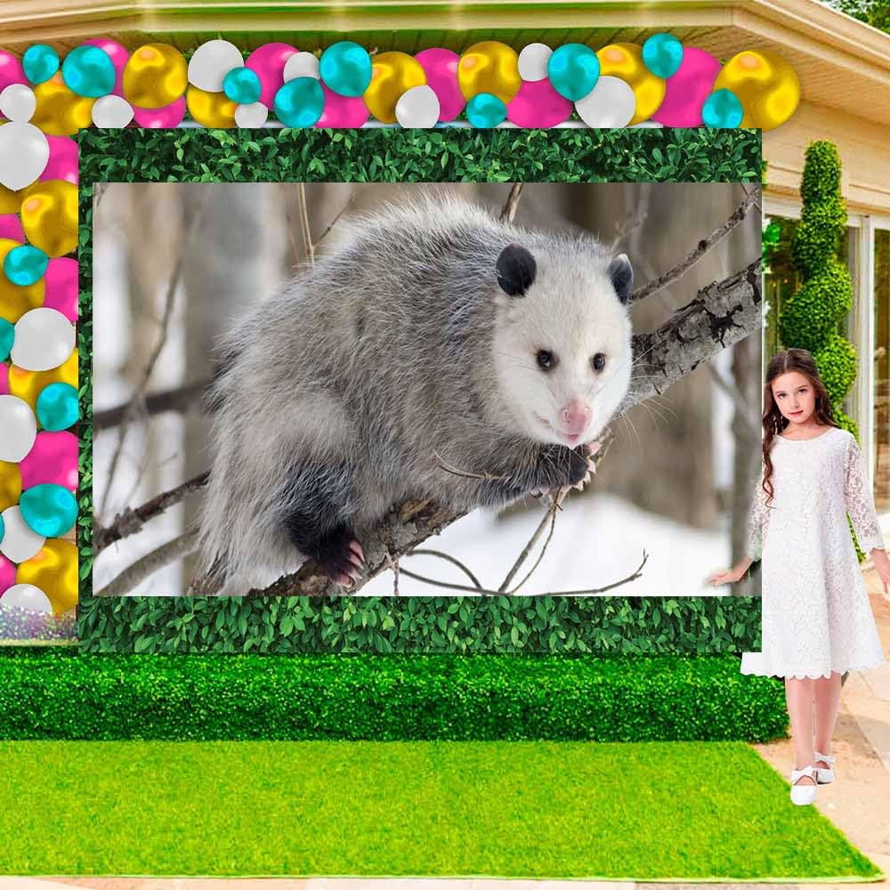 Opossum Birthday Party Supplies Decorations Plates Cake Topper Backdrop Banner Decor