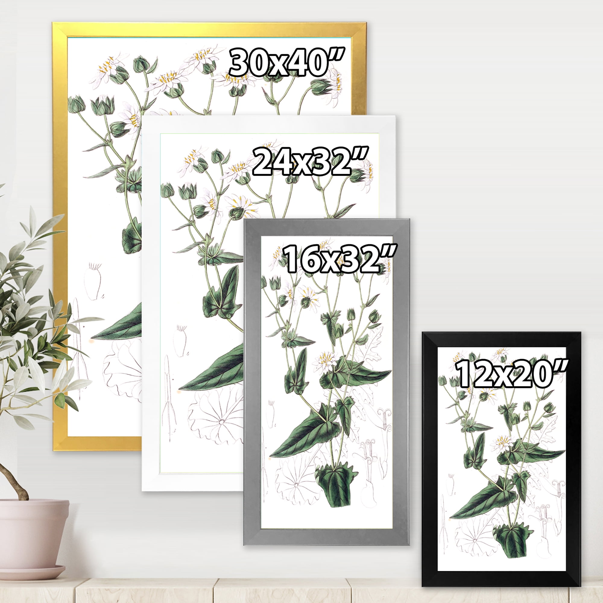 Designart 'Ancient Plant Life XXII' Traditional Framed Art Print