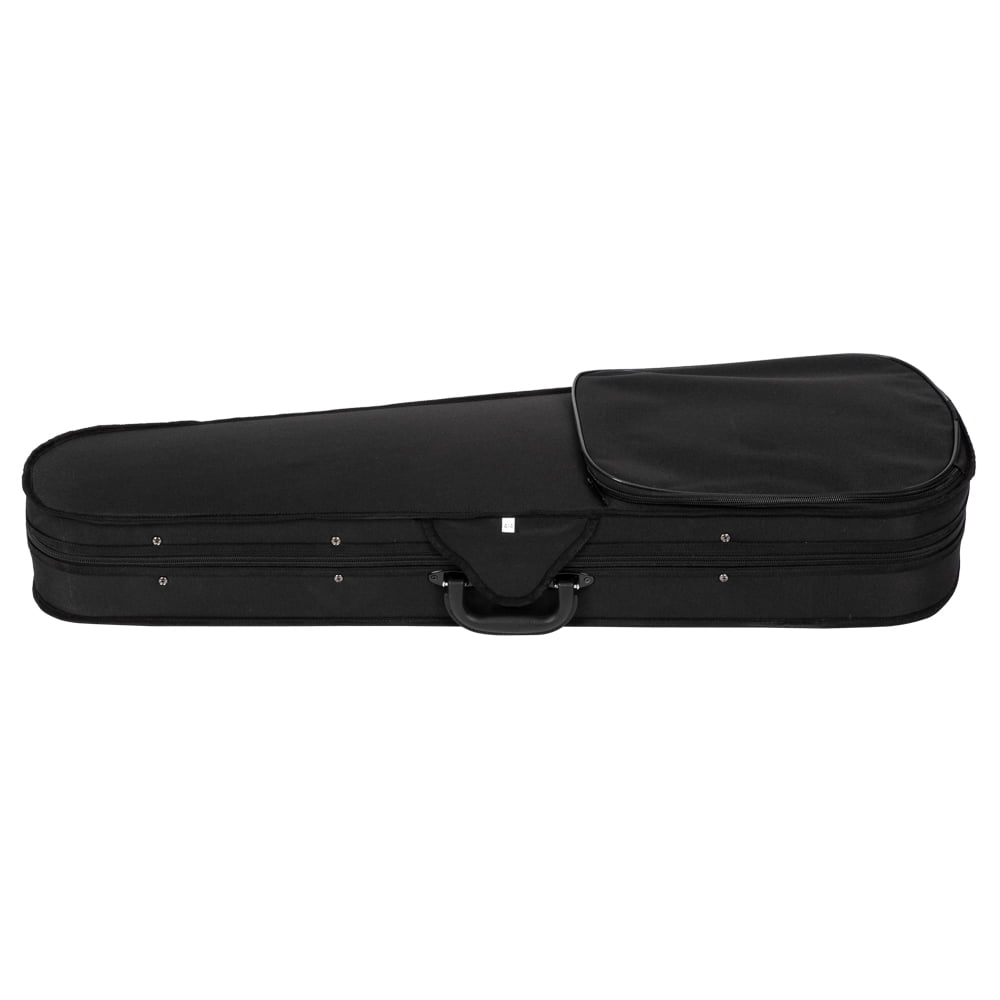 Hassch Gv103 4/4 Spruce Panel Violin Matte Natural