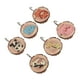 thumbnail image 5 of Gancho de Ropa ANGGREK Con Forma de animal 6 Piezas para oficina, 5 of 7