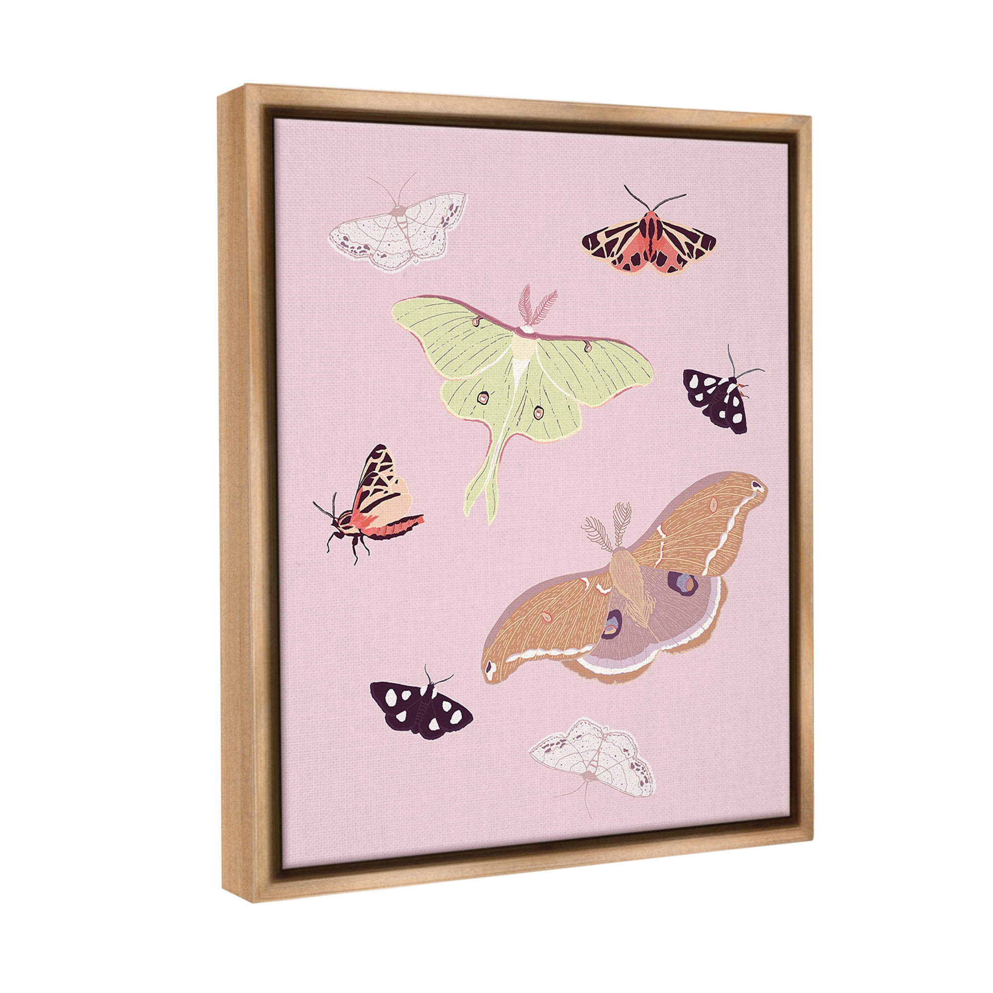 Stupell Industries Varied Moth Pattern Animals & Insects Painting Brown Floater Framed Canvas Art Print Wall Art, 25 x 31
