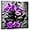 Purple Orchid Flower - 1, variant on ZHONGYUTONG Zen Canvas Wall Art Purple Orchid Flower Pictures Zen Stones Artwork Spa Meditation Painting for Bathroom Yoga Decor Framed (12.00" x 12.00")