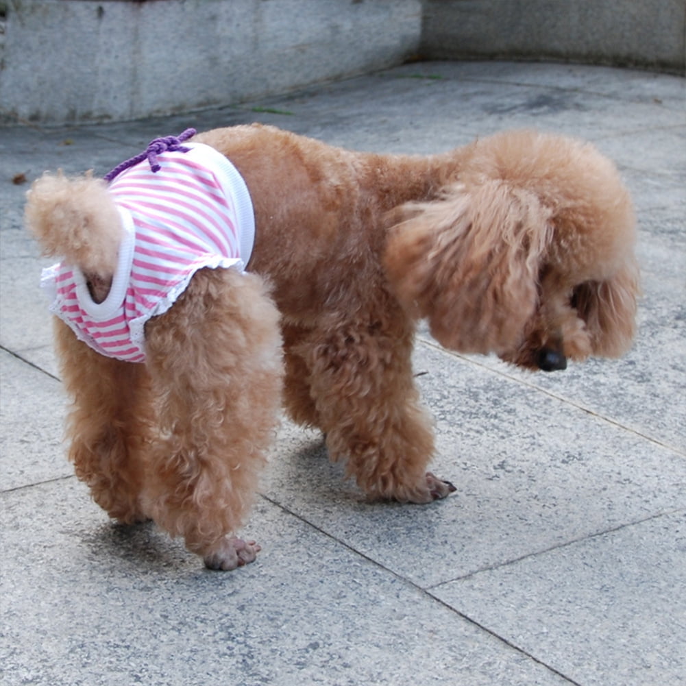 Volkmi 1 Pet Physiological Pants Female Dog Striped Dog Physiological Pants Hygiene Pants Pet Supplies Blue 2XL