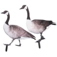 thumbnail image 4 of WHAMVOX 2Pcs Acrylic Duck Shaped Garden Stakes for Garden and Courtyard Decoration 11.3x10.6x0.2in, 4 of 8