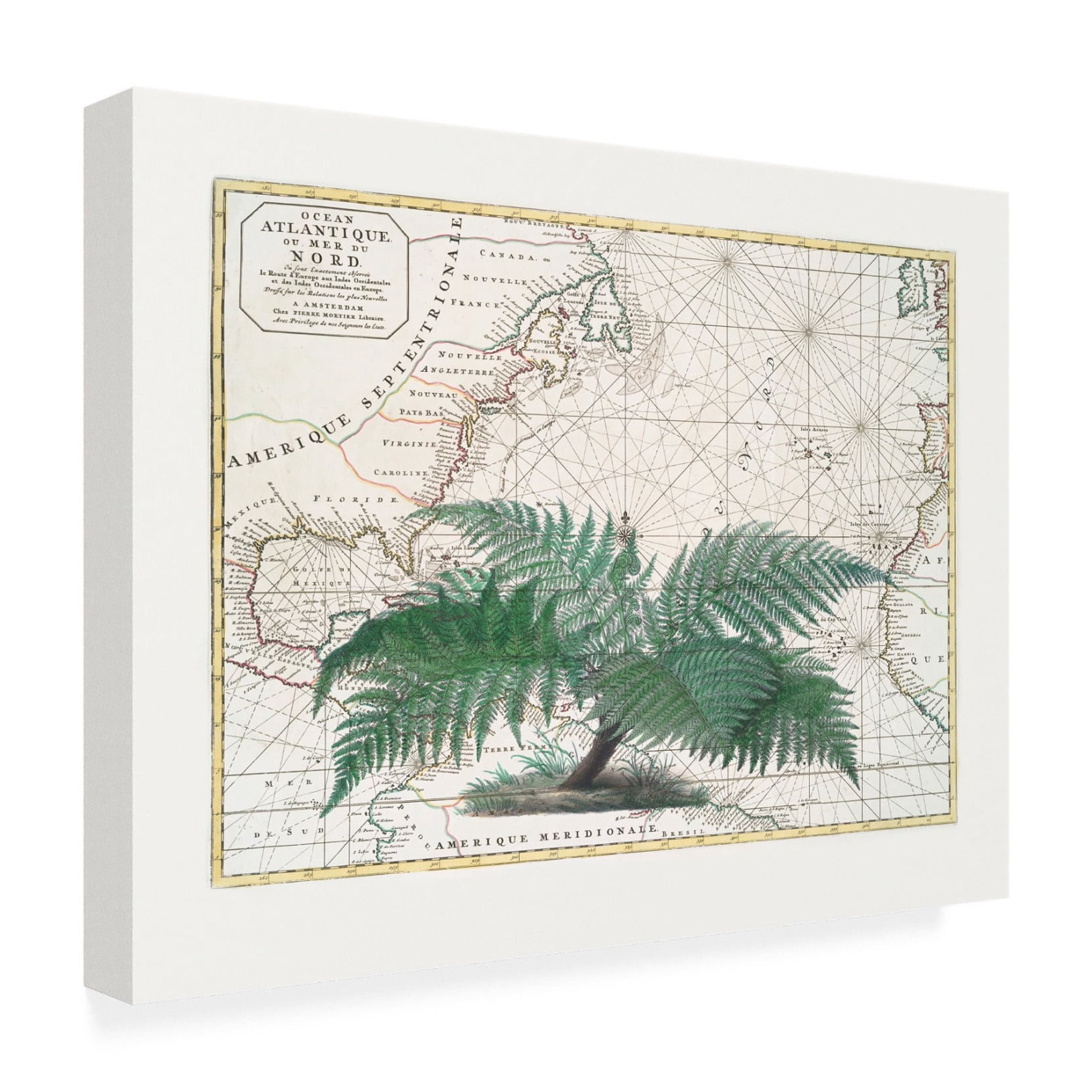 Trademark Fine Art Andrea Haase  Tropical Empire No4 Canvas Wall Art