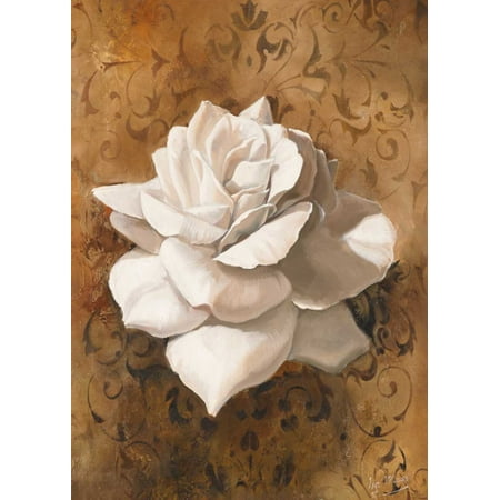 Single flower I Stretched Canvas - Isa Maas (20 x