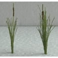 thumbnail image 3 of JTT Scenery Products O Cattails 1.5 tall 24 JTT95536 O Scenic Materials, 3 of 4