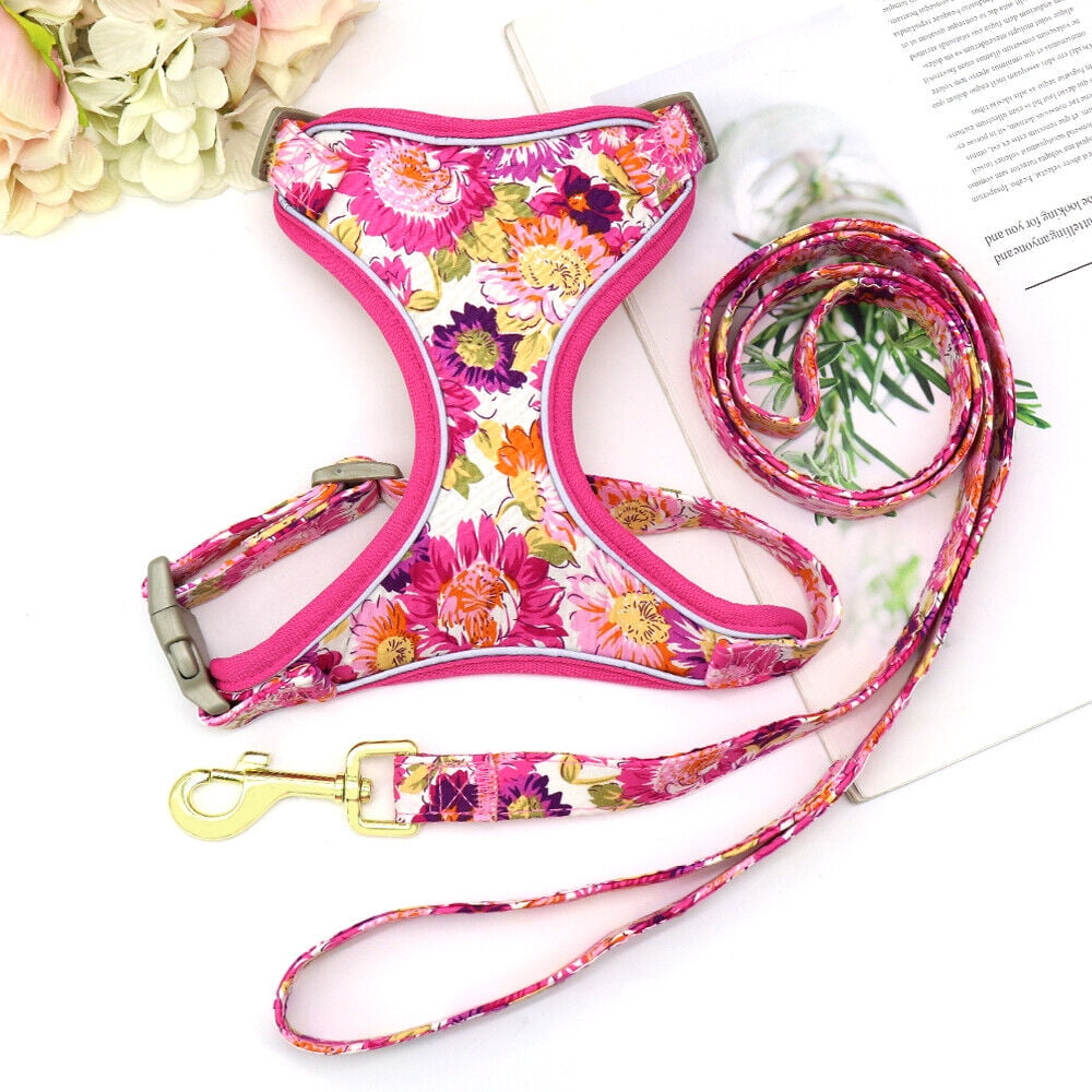 Didog 3pcs Personalized Dog Collar & Walking Leash & Soft Mesh Vest Harness Nylon S-L