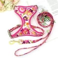 thumbnail image 5 of Pet Artist 3pcs Printed Dog Harness and leash and Personalized Dog Collar Set Custom Engraved, 5 of 11