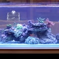 thumbnail image 4 of Fish Tank Planter Cup Aquarium Planter Creative Acrylic Planter Clear Design Fish Tank Planter, 4 of 8