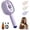 Purple, variant on 2026 New Electric Steam Brush, Rechargeable Cordless Hair Straightener Brush, Anti-Static Detangling Comb with Mist, Portable Hot Styling Tool Frizzy Hair, Smooth Nourish All
