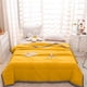 thumbnail image 1 of Edredón ligero de algodón lavado para verano – Manta transpirable con aire acondicionado para dormitorios de estudiantes, primavera u otoño – Ropa de cama suave, que no se apelmaza y lavable a máqu, 1 of 6
