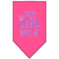 thumbnail image 4 of Pet and Dog Bandana Screen Printed, "Every Bunny Loves Me", 4 of 10