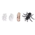thumbnail image 3 of VGEBY Insect Life Cycle Figurines Growth Model Toy Kid Cognitive Educational Toys, 3 of 8
