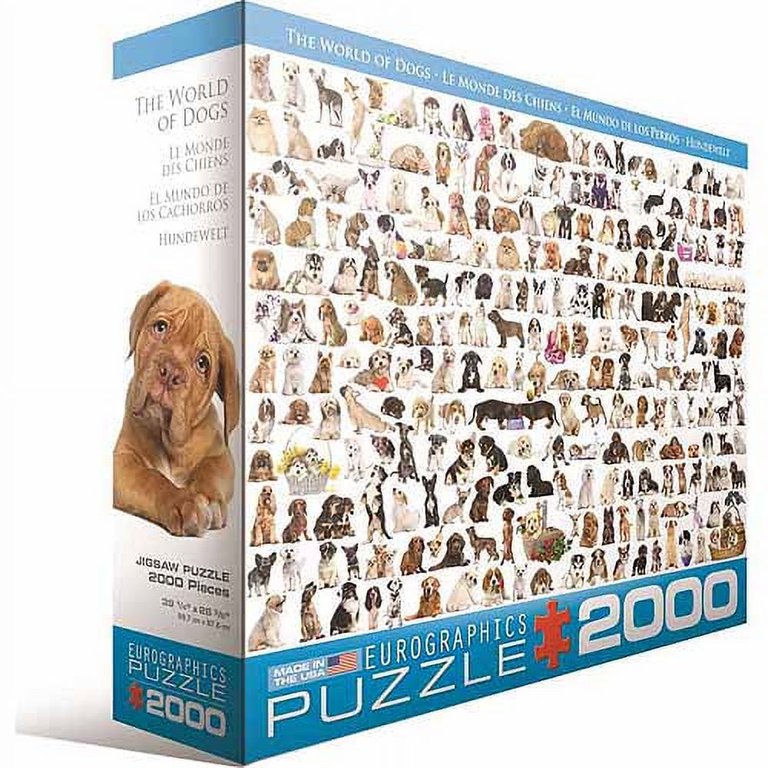 Dogs (2000 pcs) at Eurographics