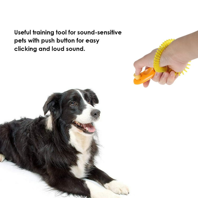 Loud best sale dog clicker