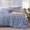 Blue, variant on U by Bedsure 3 Pieces Sage Green Queen Size Comforter Sets, Cute Flowers Botanical Lightweight Soft Bedding Set With 2 Pillow Shams