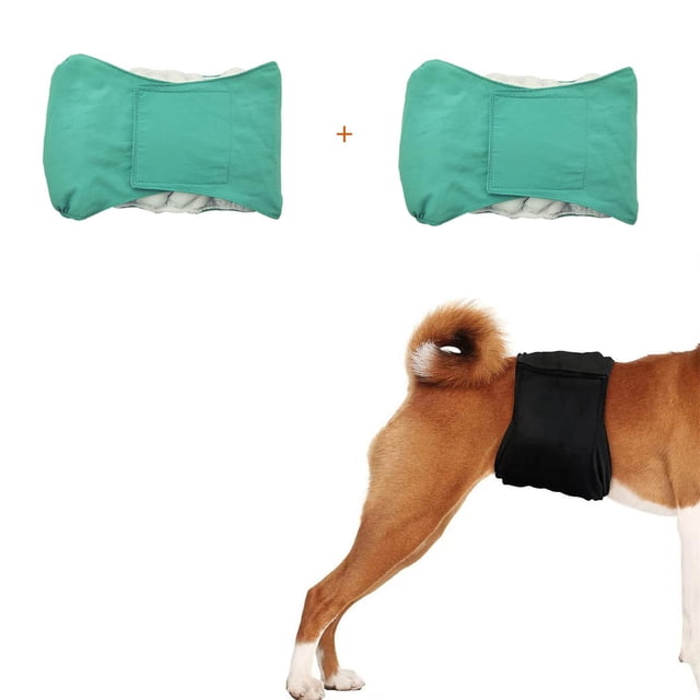 Pañales para perros machos, reutilizables, absorbentes, para perros machos, bandas para el vientre, lavables, banda absorbente para el vientre (L, 2 unidades de color verde)