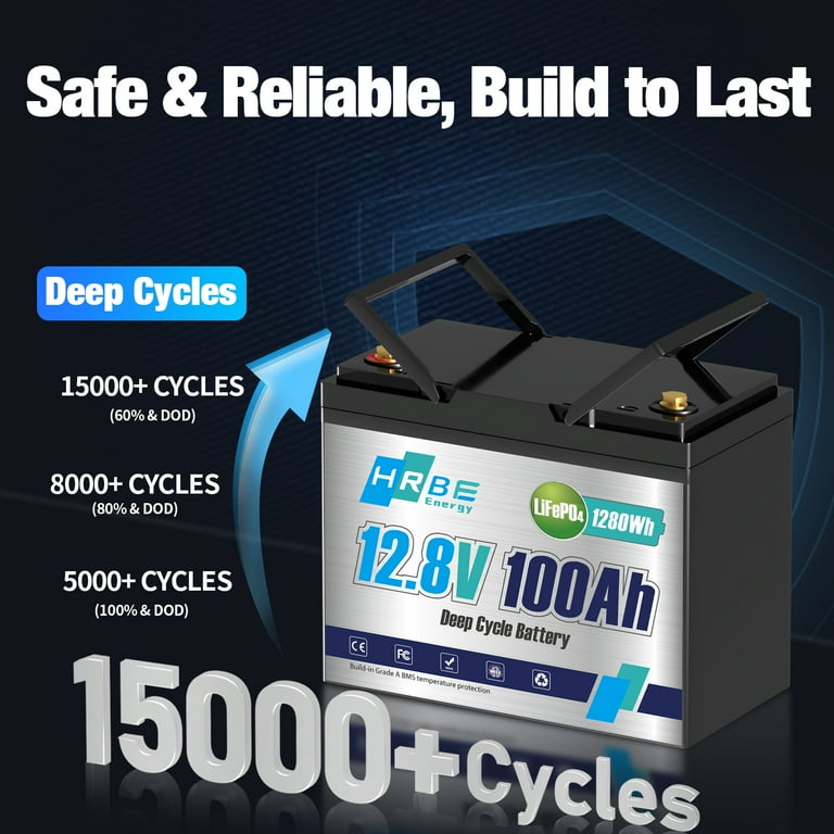 HRBEENERGY 2 Pack LiFePO4 12V 100Ah Battery with Charger, 8000+
