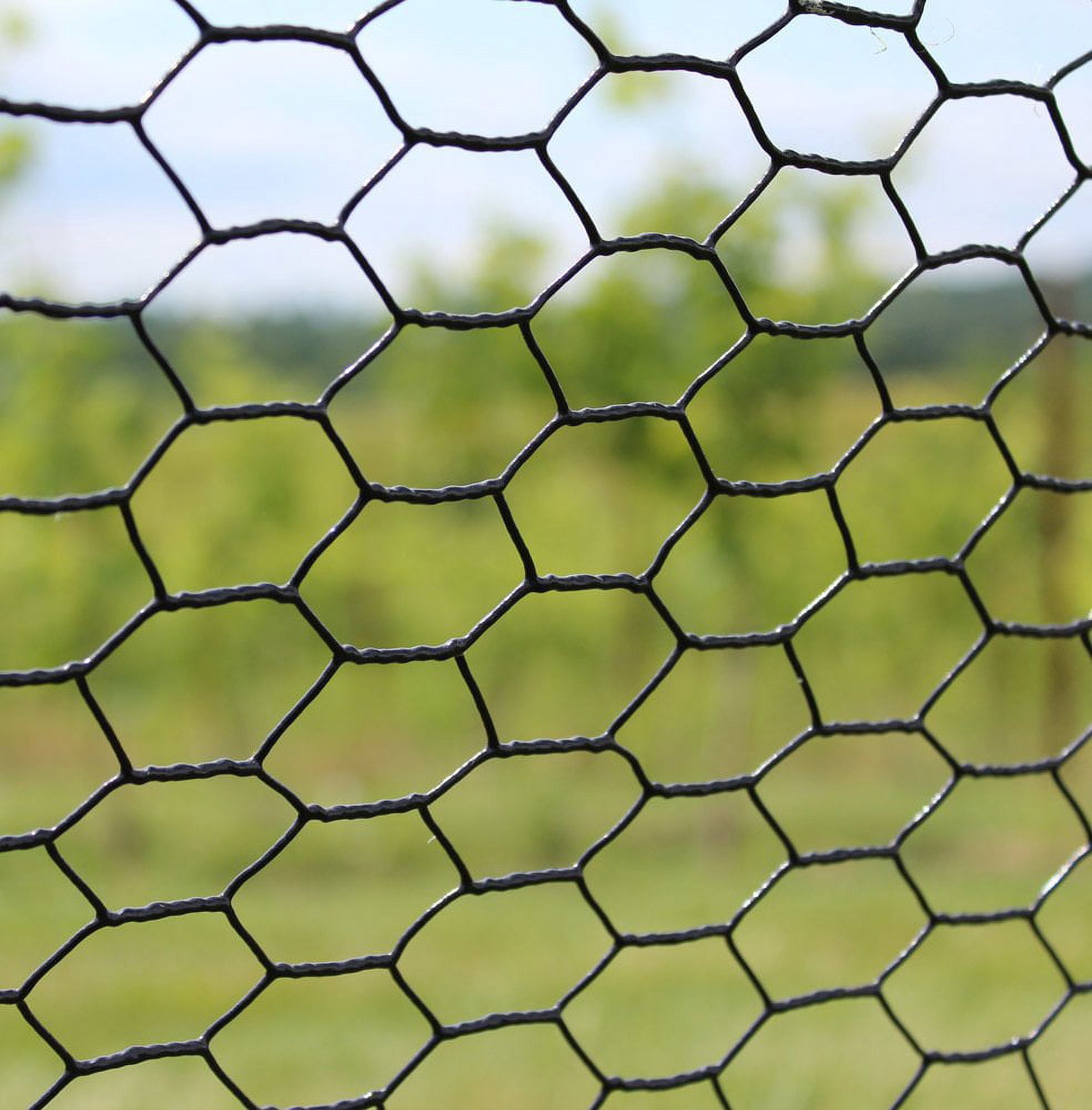 MTB 20GA Galvanized Hexagonal Poultry Netting Chicken Wire 60 Inches X 150 Feet X 1 Inch Mesh