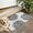 White-154, variant on Bohemian Retro Floral Non-Slip Entryway Door Mat,Boho Indoor Decor Durable Low Plush Door Mat,Washable Welcome Rug for Patio Hallway Home Decor 20x32 Inches