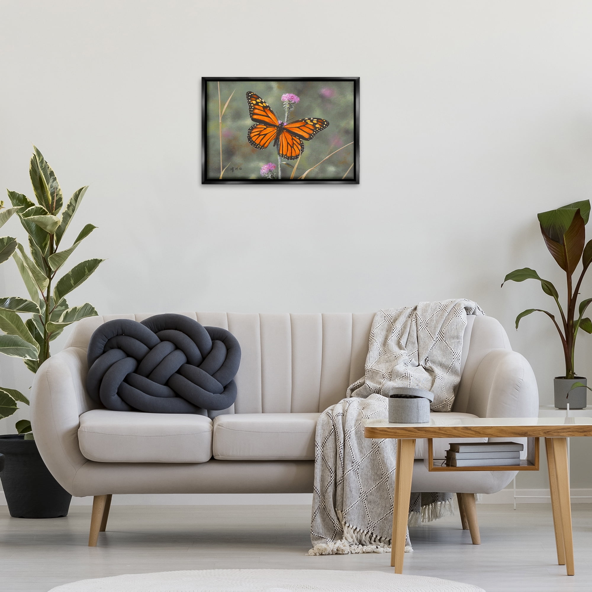 Stupell Industries Summer Visitor Butterfly Animals Photography Black Floater Framed Canvas Art Print Wall Art, 25 x 17
