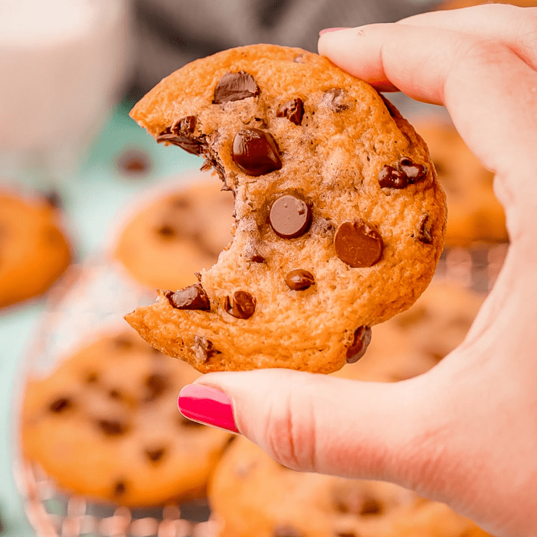 Crunchy Chocolate Chip Mini Cookies - 10 Halloween Snack Packs – Partake  Foods