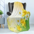 thumbnail image 4 of Daffodil Soft Flannel Fleece Blanket, Daffodils Garden Narcissus Rebirth and New Beginnings Celebration Graphic, Cozy Plush for Indoor and Outdoor Use, 70" x 90", Green Yellow White, by Ambesonne, 4 of 5
