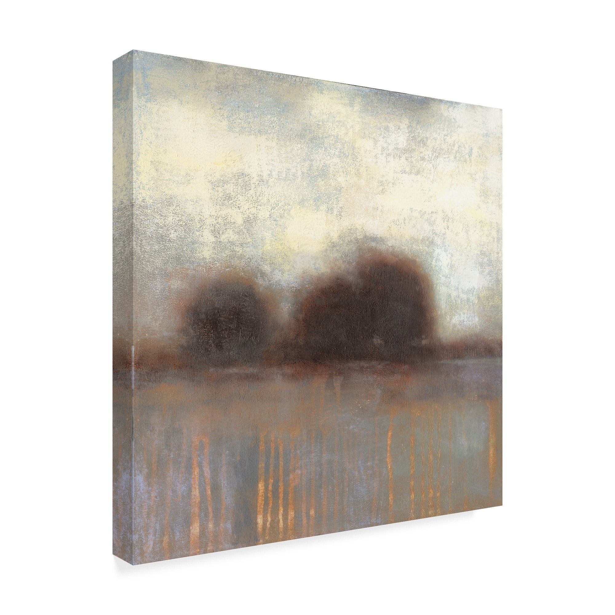 Trademark Fine Art 'Haze I' Canvas Art by Norman Wyatt