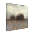 thumbnail image 2 of Trademark Fine Art 'Haze I' Canvas Art by Norman Wyatt, 2 of 4