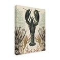 thumbnail image 2 of Trademark Fine Art 'Antiquarian Menagerie Lobster' Canvas Art by Naomi McCavitt, 2 of 4