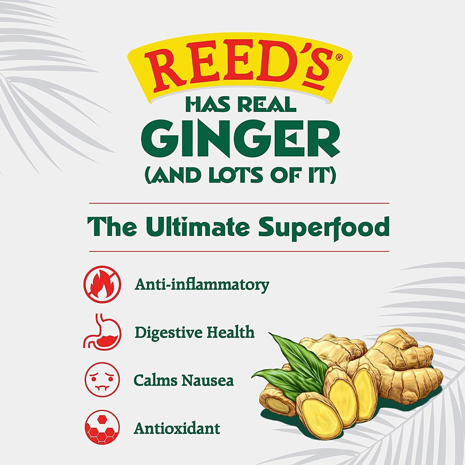 (Pack of 6) Reeds Soda 4-Pack Ginger Extra Zero 48 Fo