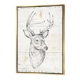 thumbnail image 1 of Deer Wild and Beautiful II - Wildlife Animal Framed Canvas, 1 of 3