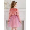thumbnail image 5 of Toddler Girls Velvet Dresses Bubble Sleeve Dress Fall Winter Long Sleeves Dress for Holiday Party 1-6 Years, 5 of 7