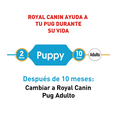thumbnail image 3 of Alimento Croqueta Para Pug Cachorro 1.1Kg Royal Canin Pug Puppy, 3 of 4