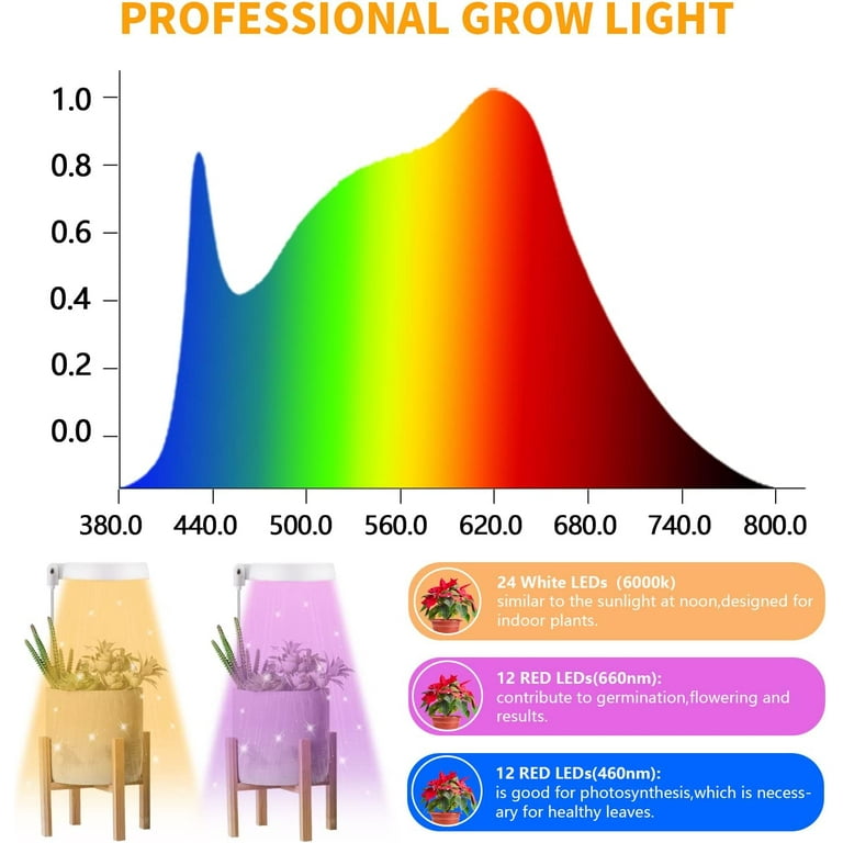 What Is the Best Light Spectrum for Plant Growth?