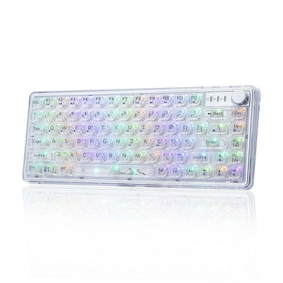 Wireless 82 Hot Swappable Transparent Mechanical Keyboard with Clear Keycaps, BT5.0/2.4G/USB-C Triple Mode mechanical Keyboard, RGB Backlit for Windows/Mac(Crystal Ice Switch,White)