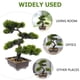 thumbnail image 3 of WORGEOUS Artificial Bonsai Pine Tree Faux Faux en maceta Display de escritorio de la planta, 3 of 8
