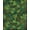 Green, Pattern 3, variant on ODIKA 4'x6' Machine Washable Non-Slip Area Rug, Forest Camo Pine Oak Leaf with Seamless Woodland Motif Design High Traffic Rug, Green, 70166