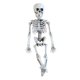 thumbnail image 1 of Esqueleto de Halloween de 16 pulgadas, decoración de Halloween, cuerpo completo para decoración de favores, 1 of 9
