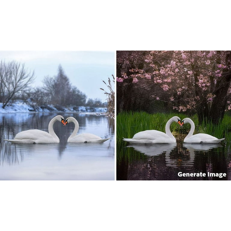 Adobe Photoshop Elements & Premiere Elements 2026 - PC/Mac - Photo