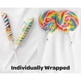 thumbnail image 5 of 24 Large Rainbow Lollipops Bundle |12 Large Swirl Lollipops 3" and 12 Large Twisty Pops 3",Individually Wrapped, Party Decorations, 5 of 6