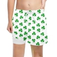 thumbnail image 3 of Boys Summer Shorts Saint Patrick's Day Print Beach Outdoor Holiday Boys Clothes Festive Celebration, 3 of 4