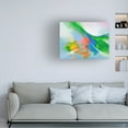 thumbnail image 2 of Canvas Wall Art - Thomas Leung 'The Essence of Light' Wall Art for Living Room, Bedroom, or Office Décor by Trademark Fine Art - 24 x 18 Inches, 2 of 4