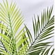 thumbnail image 4 of 12 hojas de palmera artificiales, hojas de palmera falsas, hojas de palmera grandes tropicales, plantas verdes para fiestas hawaianas, fiestas en la jungla, decoraciones con hojas de palmera grandes, 4 of 7