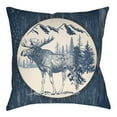 thumbnail image 5 of Indoor Outdoor LGCB2025-2222 Square 22" x 22" Pillow Cover + Polyfill, 5 of 7