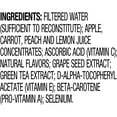 R.W. Knudsen Simply Nutritious Mega Antioxidant Juice Blend, 100 Juice