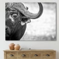 thumbnail image 2 of Designart ' Black and White Portrait Of Buffalo III ' Farmhouse Canvas Wall Art Print, 2 of 4