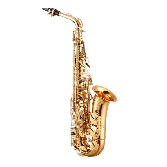 23 Key Gold Alto Saxophone E Flat Beginner Kit with Carrying Case Mouthpiece Straps Cleaning Cloth Gloves Grease Neck Strap for Students