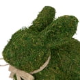 thumbnail image 7 of Northlight 11" Moss Sitting Bunny Rabbit Spring Easter Figure - Green/Tan, 7 of 7